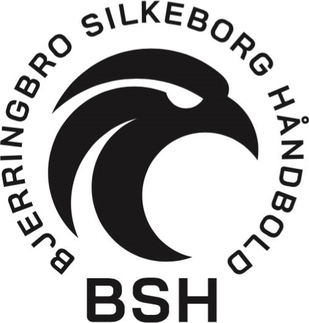 logo Bjerringbro-Silkeborg